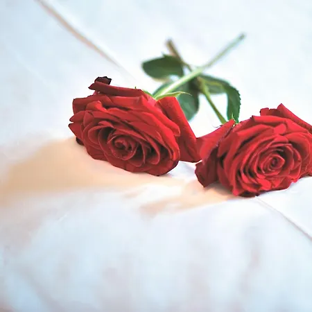 Berghof - St Johann In Salzburg Sankt Johann im Pongau