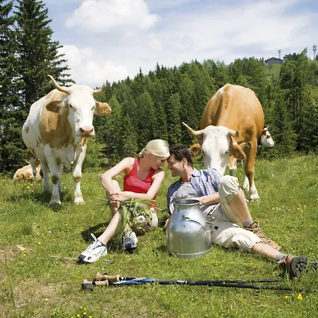 Berghof - St Johann In Salzburg 4* סנט יוהן אים פונגאו